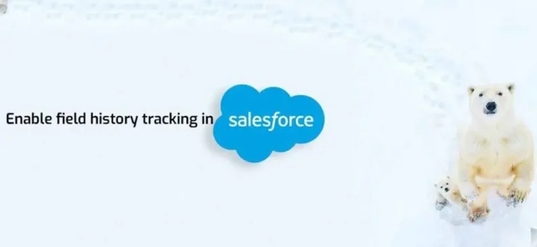 Field history tracking in Salesforce, showcasing changes made to fields over time for better data management and analysis.