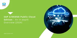 Graphic of a person holding a digital cloud icon with technology symbols, titled 'SAP S/4HANA Public Cloud Edition – An In-depth Overview (2024).' Set against a green background with LMTEQ branding, highlighting SAP's innovative solutions.